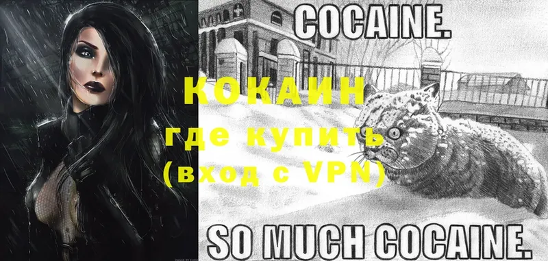 COCAIN Columbia  MEGA сайт  Лыткарино 