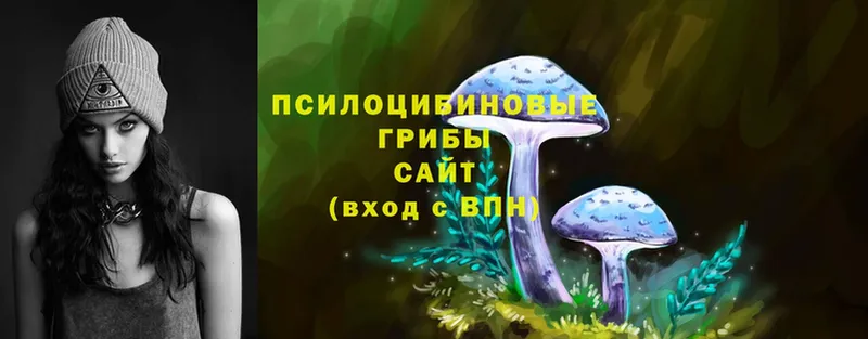 Галлюциногенные грибы Magic Shrooms  OMG ссылка  Лыткарино 